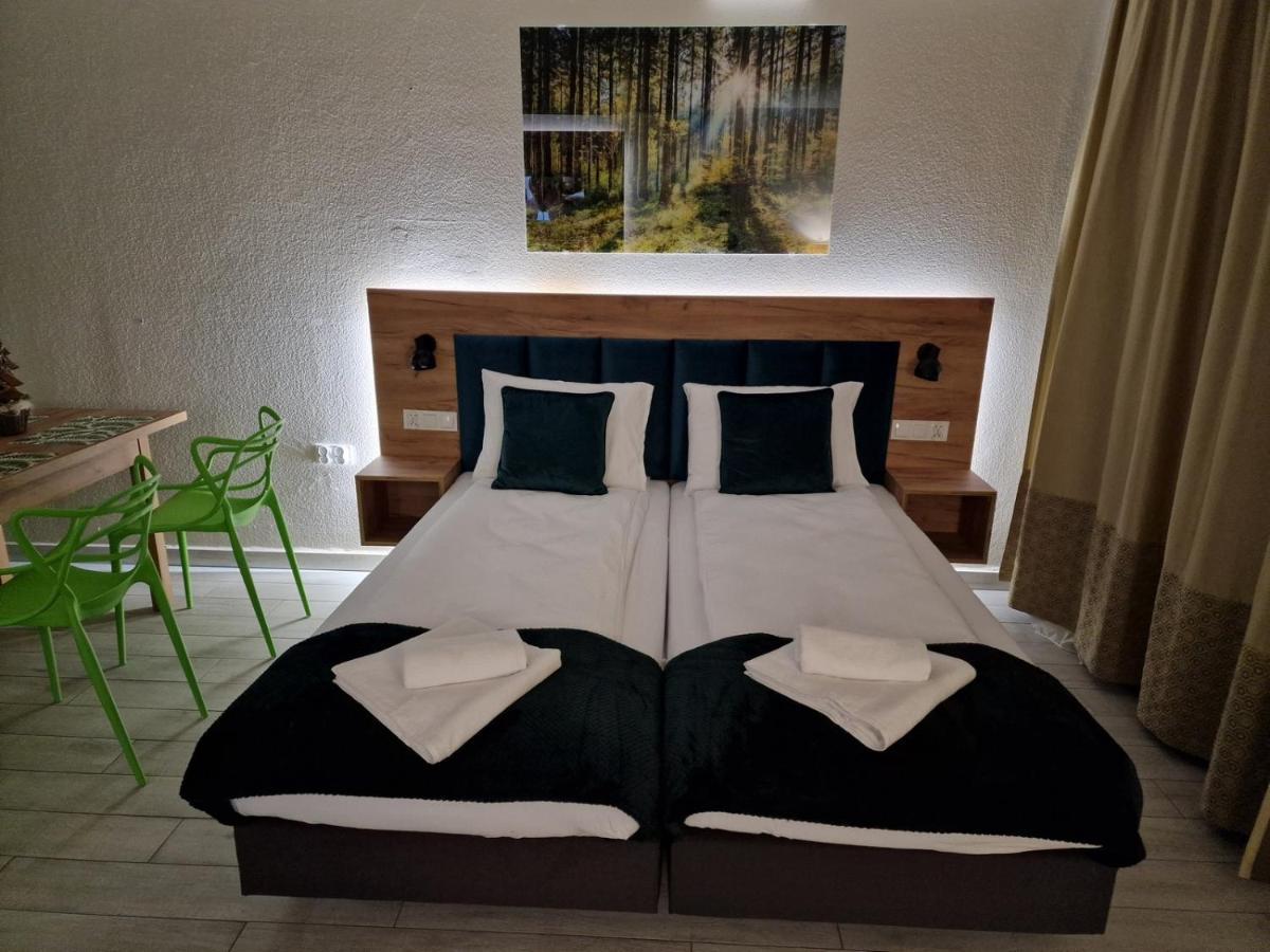 שייננה Agat Apartament Czarna Gora מראה חיצוני תמונה